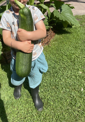 …mit der größten Zucchini!