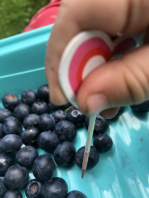 mit Blaubeer pieksen